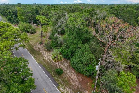 Land in Brooksville, Florida № 2211533 - photo 26