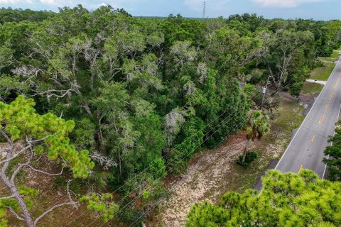 Land in Brooksville, Florida № 2211533 - photo 25