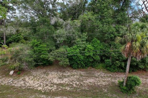 Land in Brooksville, Florida № 2211533 - photo 28