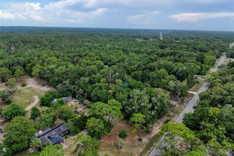 Land in Brooksville, Florida № 2211533 - photo 21