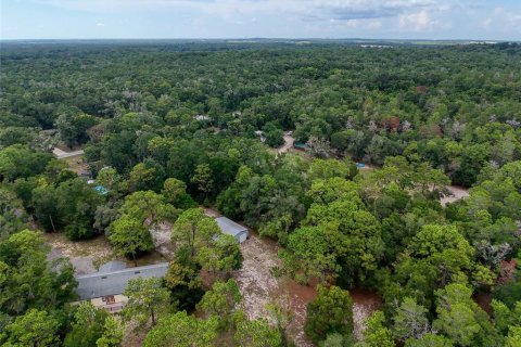 Land in Brooksville, Florida № 2211533 - photo 18