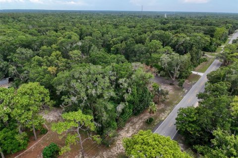 Land in Brooksville, Florida № 2211533 - photo 24