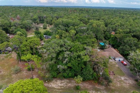 Land in Brooksville, Florida № 2211533 - photo 22