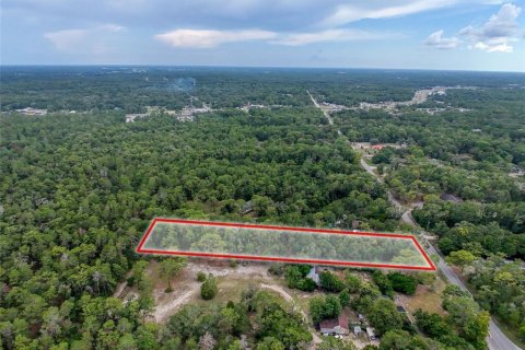 Land in Brooksville, Florida № 2211533 - photo 12