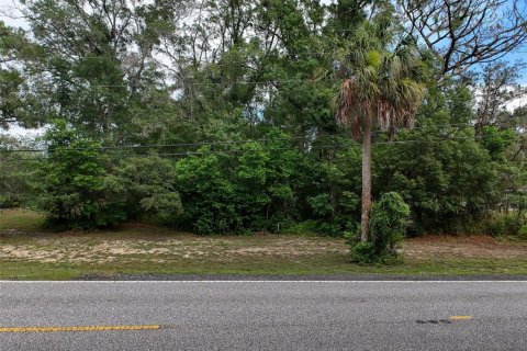 Land in Brooksville, Florida № 2211533 - photo 3