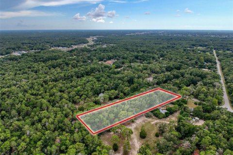 Land in Brooksville, Florida № 2211533 - photo 11