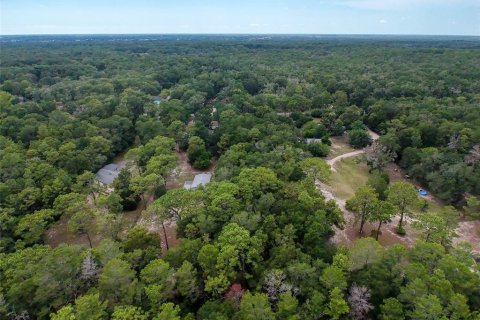Land in Brooksville, Florida № 2211533 - photo 19