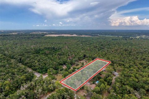 Land in Brooksville, Florida № 2211533 - photo 7