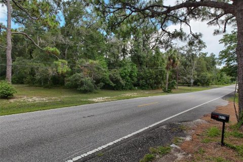 Land in Brooksville, Florida № 2211533 - photo 30