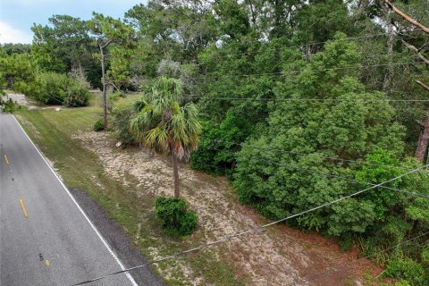 Land in Brooksville, Florida № 2211533 - photo 29