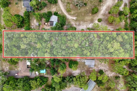 Land in Brooksville, Florida № 2211533 - photo 2