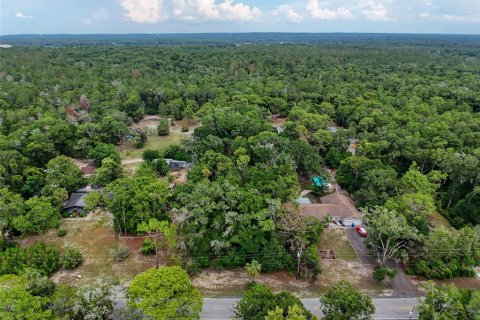 Land in Brooksville, Florida № 2211533 - photo 16