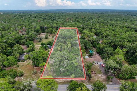 Land in Brooksville, Florida № 2211533 - photo 5