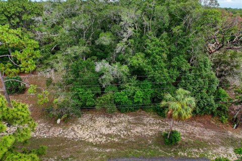 Land in Brooksville, Florida № 2211533 - photo 27