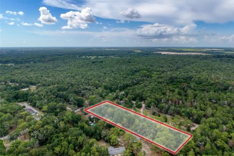 Land in Brooksville, Florida № 2211533 - photo 9