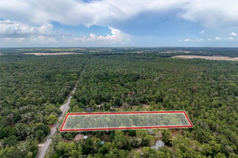Land in Brooksville, Florida № 2211533 - photo 8