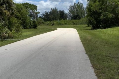 Terreno en venta en Cape Coral, Florida № 1984806 - foto 6