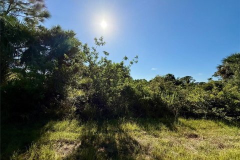 Land in North Port, Florida № 2159390 - photo 2
