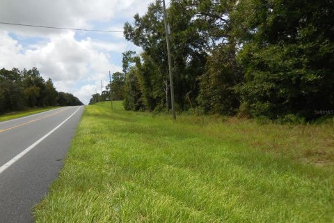Land in Williston, Florida № 1436822 - photo 3