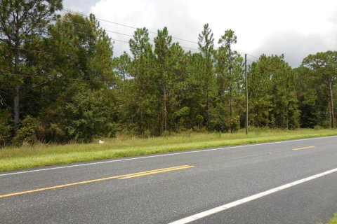 Land in Williston, Florida № 1436822 - photo 6