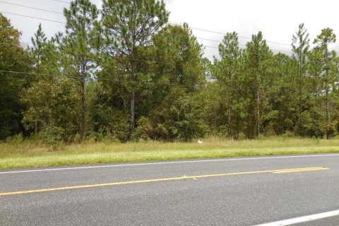 Land in Williston, Florida № 1436822 - photo 4