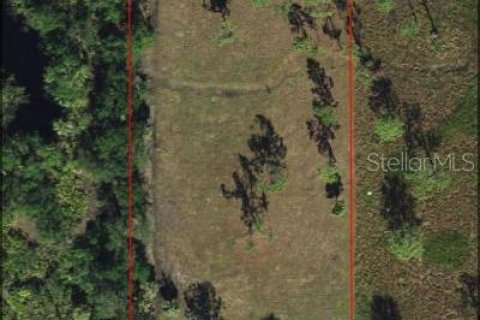 Land in Punta Gorda, Florida № 1006086 - photo 1