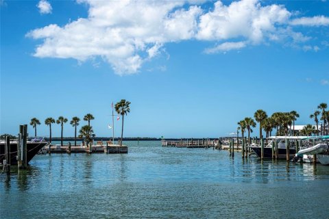 Condo in Dunedin, Florida, 1 bedroom № 2224736 - photo 26