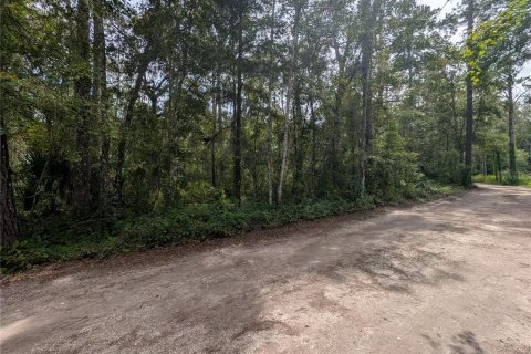 Terrain à vendre à Brooksville, Floride № 2385726 - photo 6