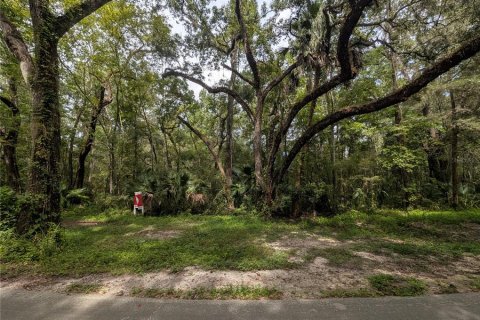 Terrain à Brooksville, Floride № 2385726