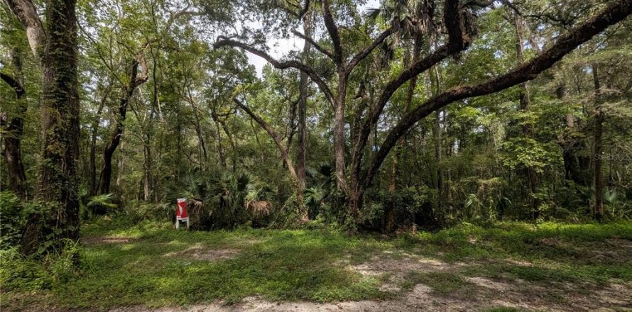 Terrain à Brooksville, Floride № 2385726