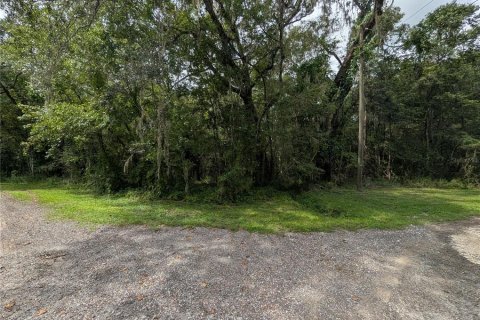 Terrain à vendre à Brooksville, Floride № 2385726 - photo 21