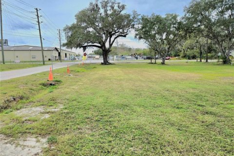 Land in Lakeland, Florida № 2145016 - photo 8