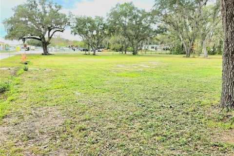 Land in Lakeland, Florida № 2145016 - photo 6