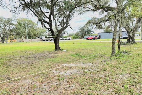 Land in Lakeland, Florida № 2145016 - photo 2