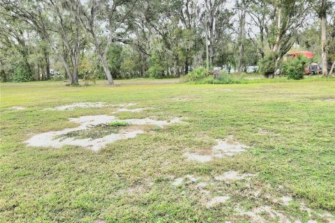 Land in Lakeland, Florida № 2145016 - photo 7