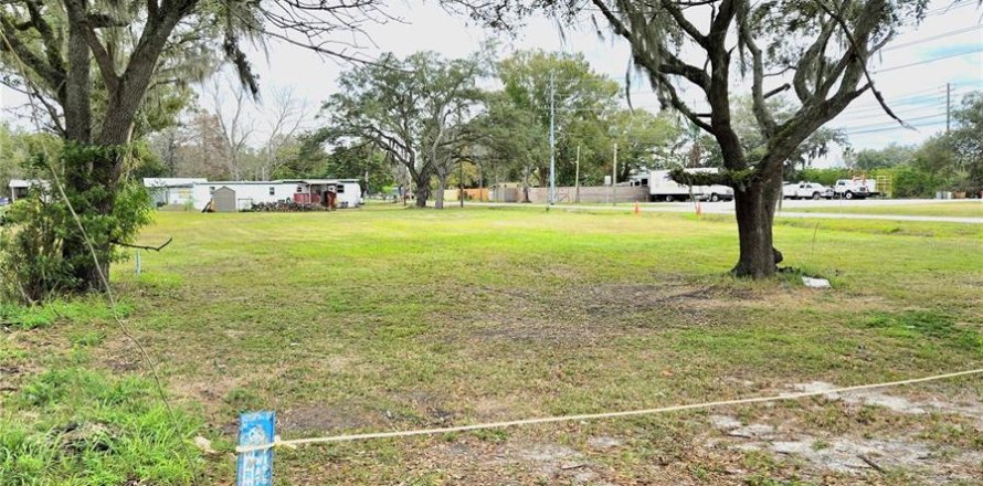 Land in Lakeland, Florida № 2145016