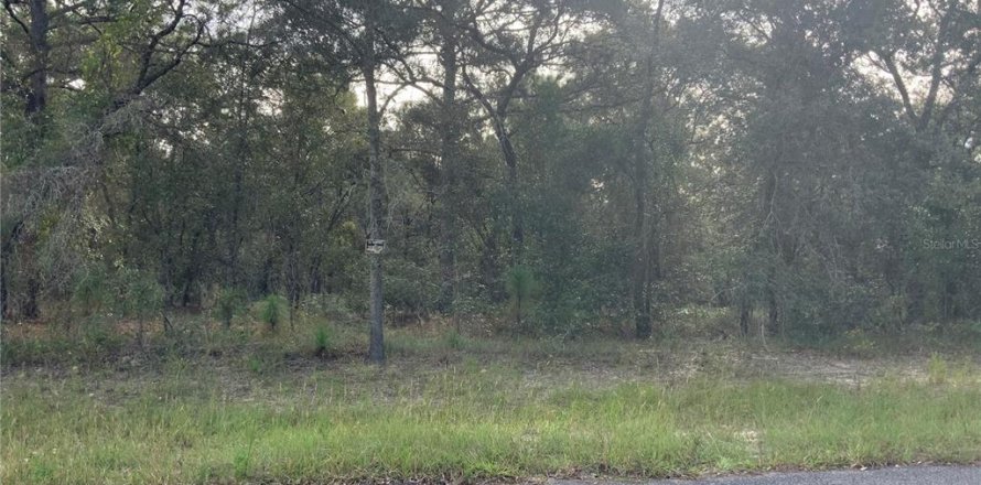 Terrain à Morriston, Floride № 2208186