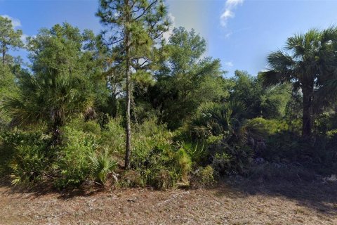 Land in Port Charlotte, Florida № 2164560