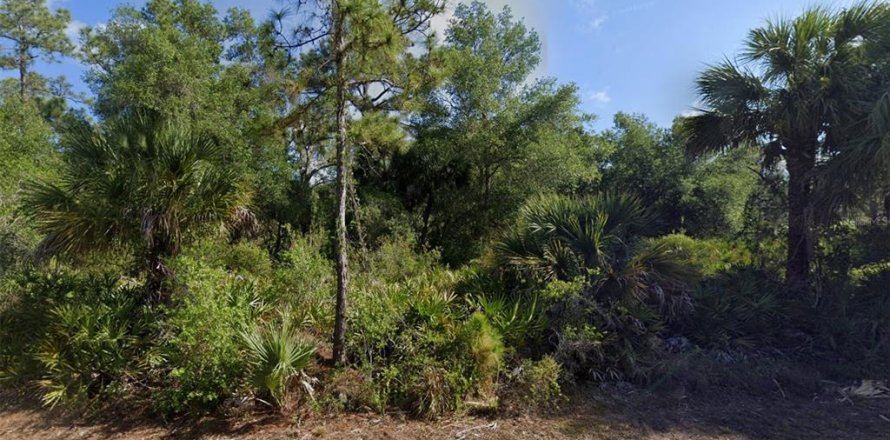 Land in Port Charlotte, Florida № 2164560