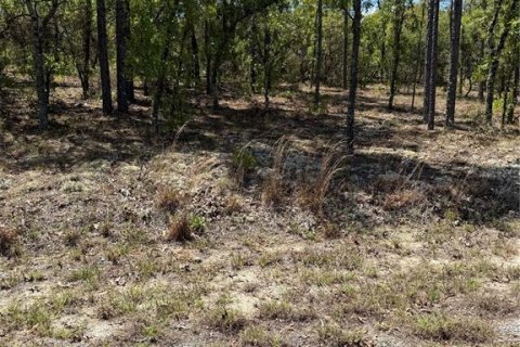 Land in Dunnellon, Florida № 2165043