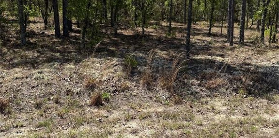 Land in Dunnellon, Florida № 2165043