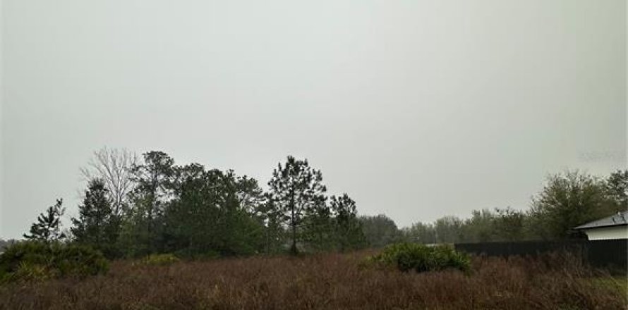 Land in Ocala, Florida № 1577553