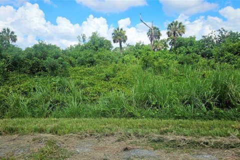 Land in North Port, Florida № 2160264 - photo 6