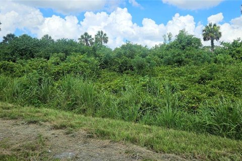 Land in North Port, Florida № 2160264 - photo 2