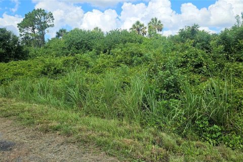 Land in North Port, Florida № 2160264 - photo 5