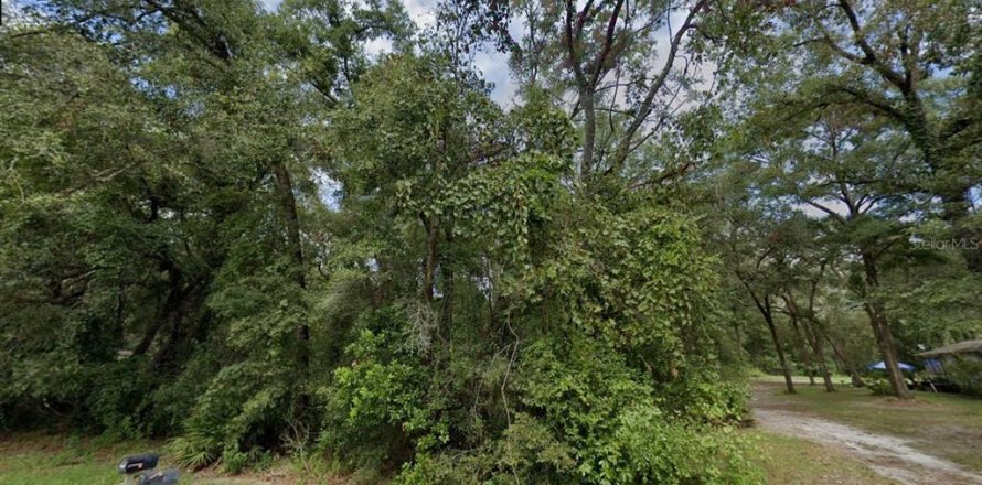 Land in Fanning Springs, Florida № 1544567