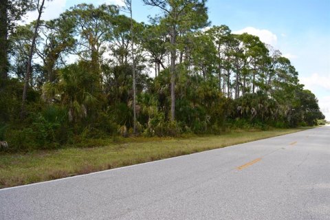 Land in Port Charlotte, Florida № 1555018 - photo 8