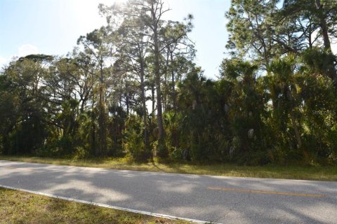 Land in Port Charlotte, Florida № 1555018 - photo 3
