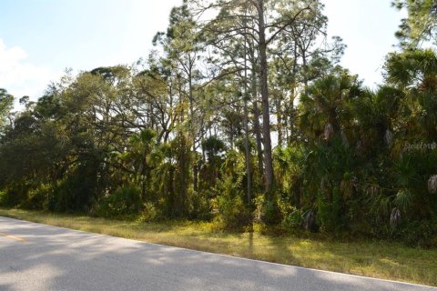 Land in Port Charlotte, Florida № 1555018 - photo 4