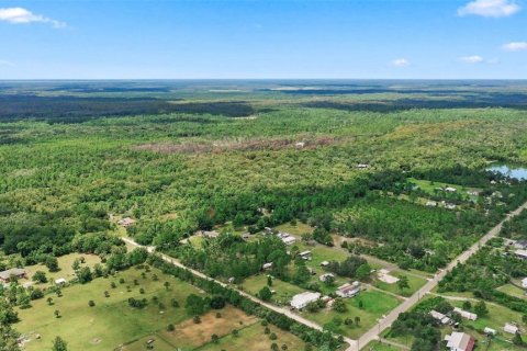 Купить земельный участок в Мимс, Флорида № 2320967 - фото 13